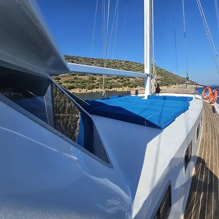 Daphne S Gulet Bateau-hôtel Bodrum
