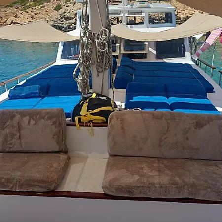 Daphne S Gulet Bateau-hôtel Bodrum